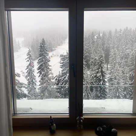 Woodside Duplex In Out With Garage