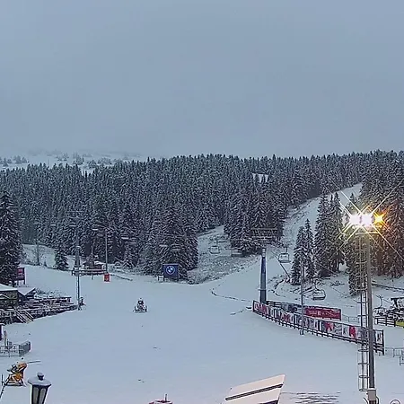 Woodside Duplex In Out With Garage